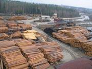 Предлагает к продаже лес - кругляк из России регионов Сибири.....